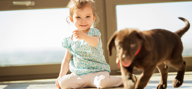 Keeping Your Floors Kid and Pet Friendly